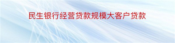 民生银行经营贷款规模大客户贷款